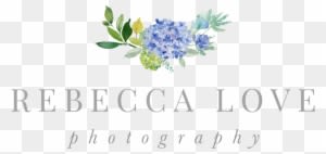 Rebecca Love Photography Nantucket Wedding Photographer - Rebecca Love Photography Nantucket Wedding Photographer - Free Transparent PNG Clipart Images Download. - Transparent PNG Free Download