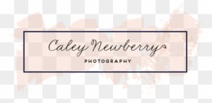 Nashville Wedding Photographer - Calligraphy - Free Transparent PNG Clipart Images Download. - Transparent PNG Free Download