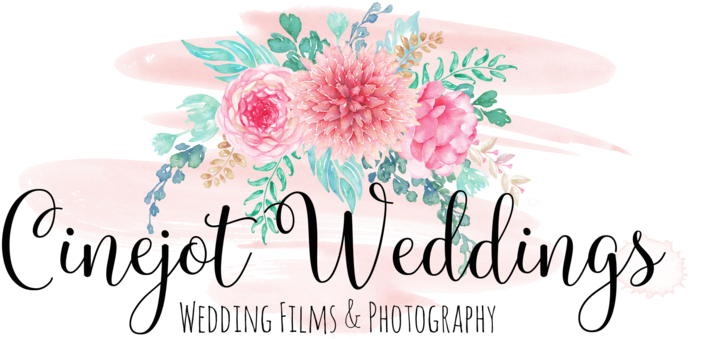 Austin Wedding Photographer - Gerbera - Free Transparent PNG Clipart Images Download. - Transparent PNG Free Download