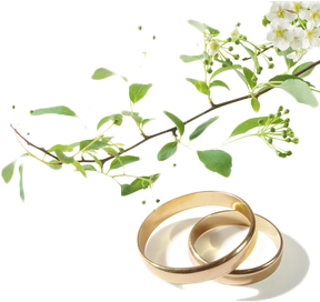 Wedding Rings I - Die Liebe Hört Niemals Auf 9783746233765 (paperback) - Free Transparent PNG Clipart Images Download. - Transparent PNG Free Download