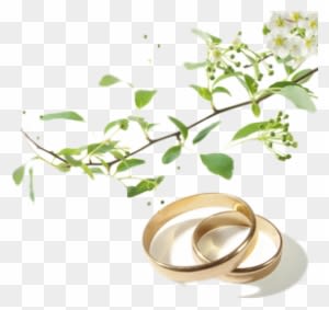 Wedding Rings I - Die Liebe Hört Niemals Auf 9783746233765 (paperback) - Free Transparent PNG Clipart Images Download. - Transparent PNG Free Download