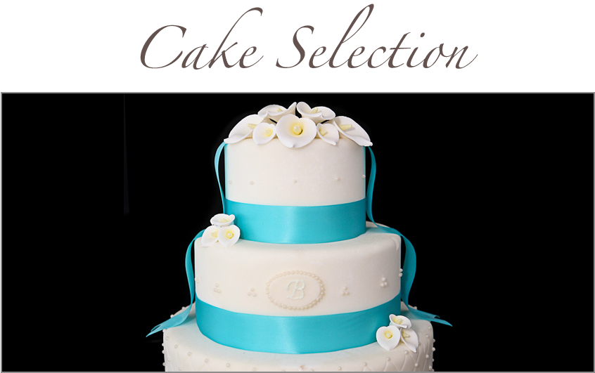 Weddings - Elac Fs 247 - Free Transparent PNG Clipart Images Download. - Transparent PNG Free Download