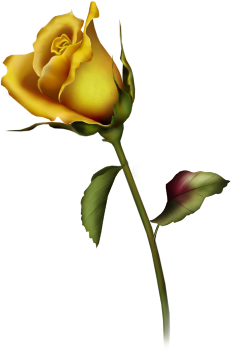 Yellow Rose Clipart Yellow Rose Bud Clip Art Gallery - Rose Buds Tattoo Design - Free Transparent PNG Clipart Images Download. - Transparent PNG Free Download