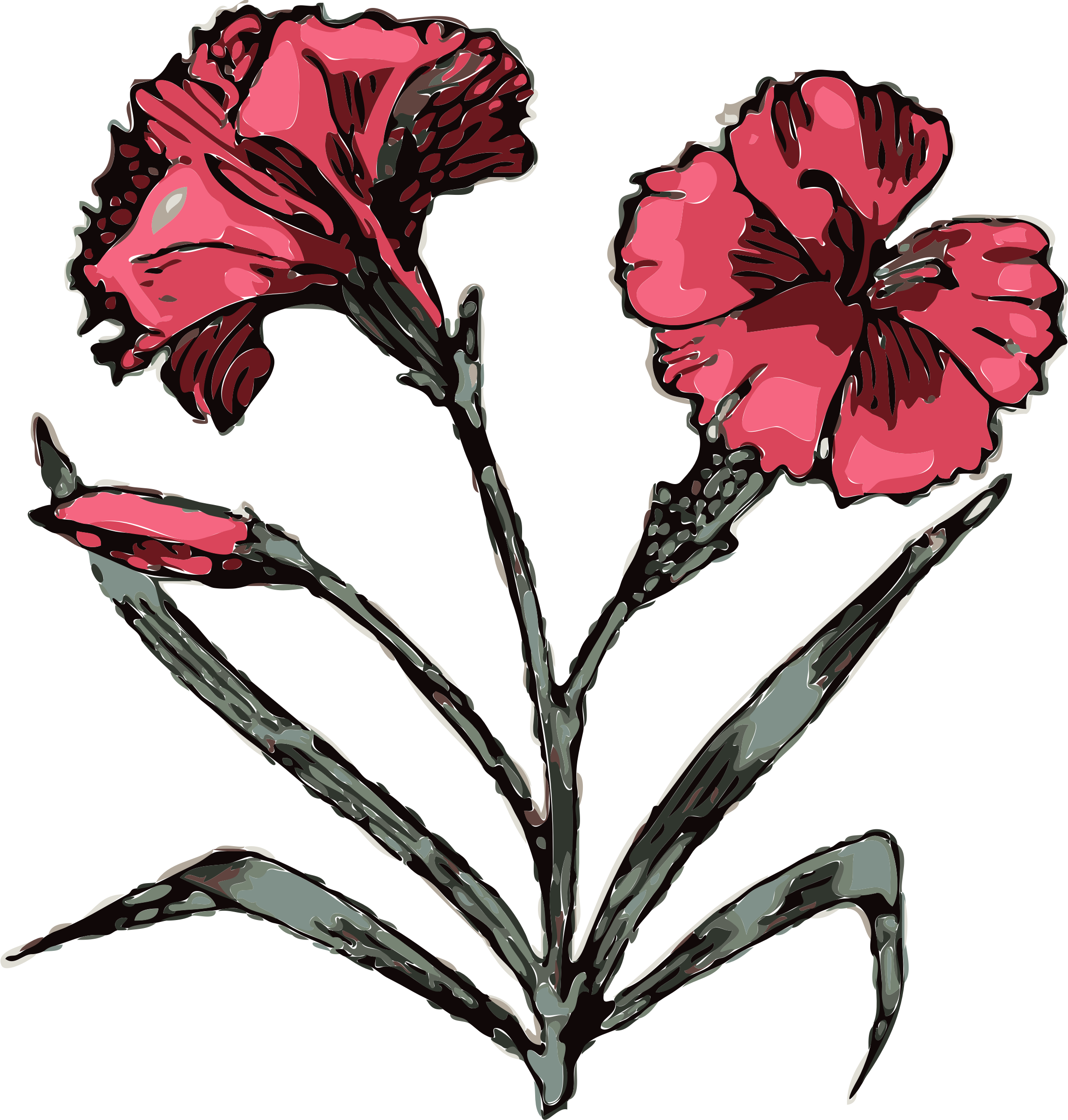 Similar Clip Art - Carnation Tattoo Designs - Free Transparent PNG Clipart Images Download. - Transparent PNG Free Download