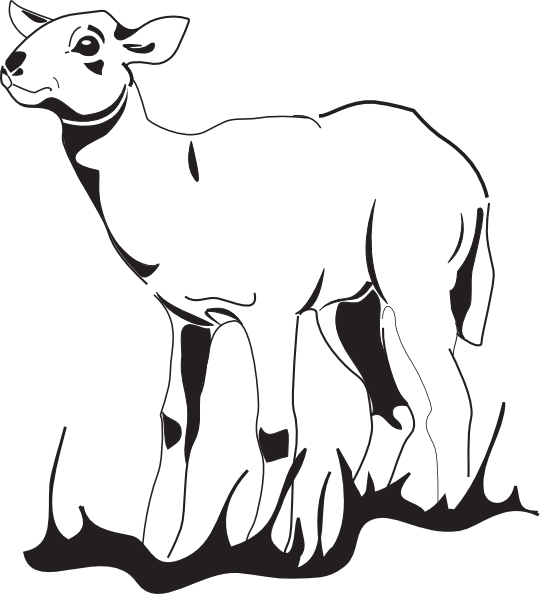 Lamb Tattoo Drawing Outline - Free Transparent PNG Clipart Images Download. - Transparent PNG Free Download
