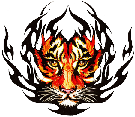 Tribal Tiger Tattoos High Quality - Cb Background Tattoo Hd - Free Transparent PNG Clipart Images Download. - Transparent PNG Free Download