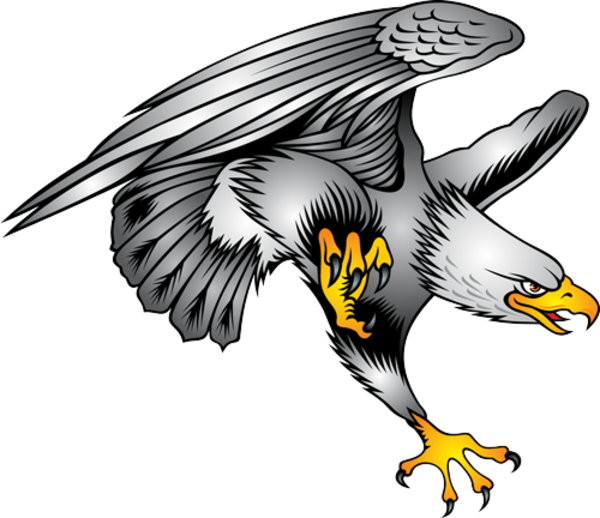 28 Collection Of Eagles Clipart Free Download - Bald Eagle Tattoo Design - Free Transparent PNG Clipart Images Download. - Transparent PNG Free Download
