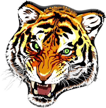Tiger - Tiger Tattoo Transparent Png - Free Transparent PNG Clipart Images Download. - Transparent PNG Free Download