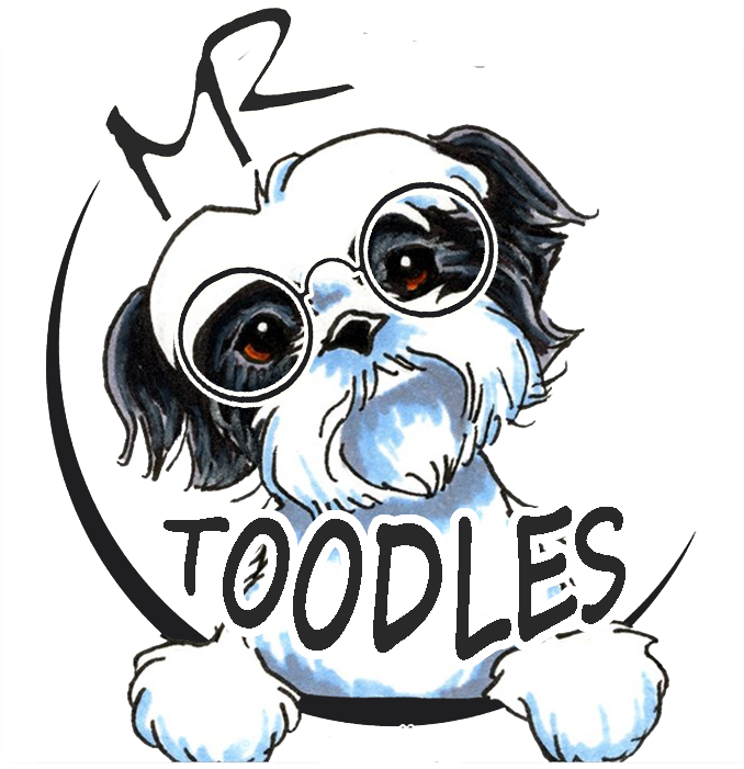 Mr Toodles - Shih Tzu Tattoo Designs - Free Transparent PNG Clipart Images Download. - Transparent PNG Free Download