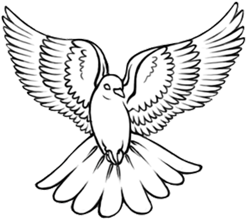 Black Outline Flying Dove Tattoo Design - Dove Tattoo Outline - Free Transparent PNG Clipart Images Download. - Transparent PNG Free Download