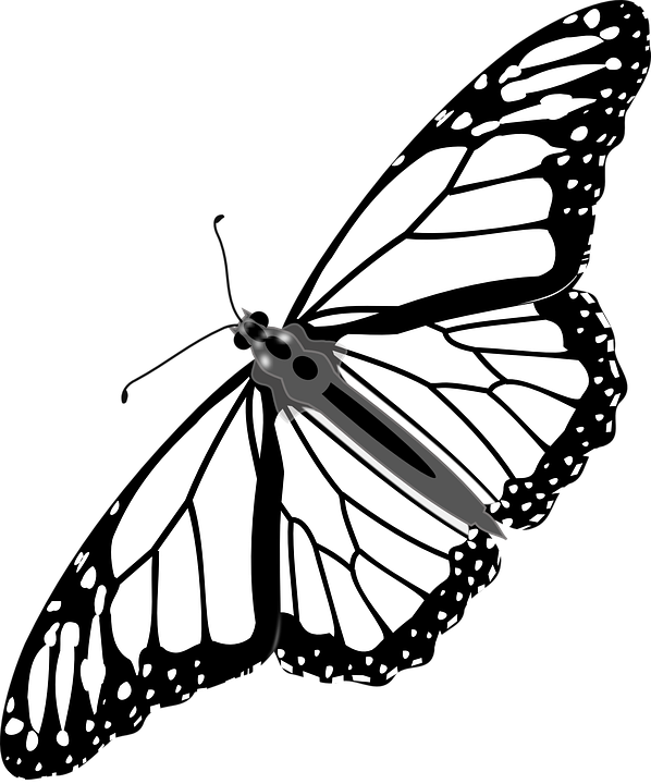 Cartoon Monarch Butterfly 25, Buy Clip Art - Monarch Butterfly Tattoo Vector - Free Transparent PNG Clipart Images Download. - Transparent PNG Free Download