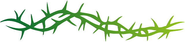 Flower Border Png - Arm Band Tribal Tattoo - Free Transparent PNG Clipart Images Download. - Transparent PNG Free Download