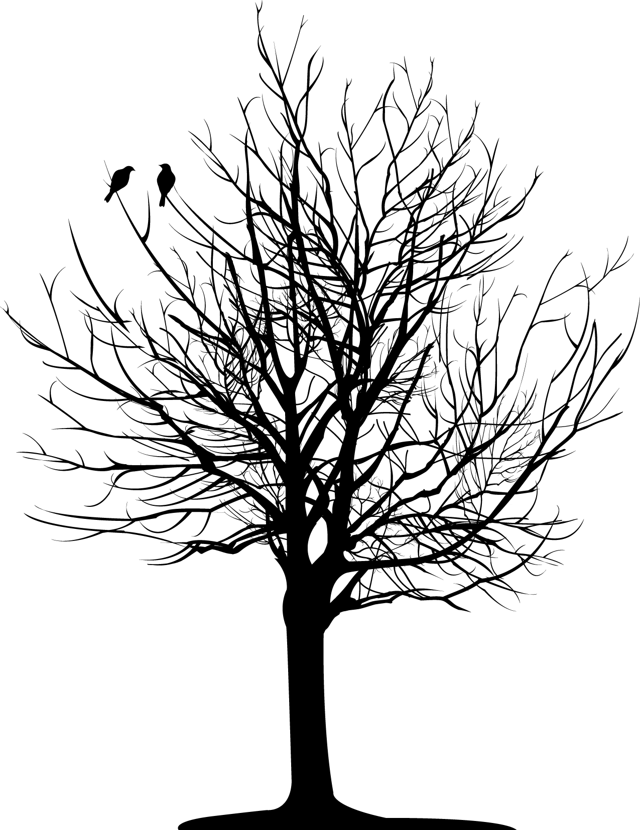 Christopher Allan Poe - Tree With Roots Ankle Tattoos - Free Transparent PNG Clipart Images Download. - Transparent PNG Free Download