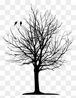 Christopher Allan Poe - Tree With Roots Ankle Tattoos - Free Transparent PNG Clipart Images Download. - Transparent PNG Free Download