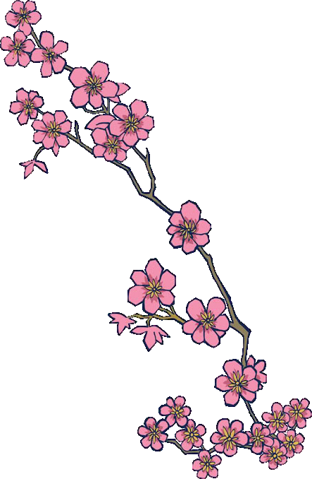 Download Cherry Blossom Hd Png Clipart Image - Cherry Blossom Tattoo Designs - Free Transparent PNG Clipart Images Download. - Transparent PNG Free Download
