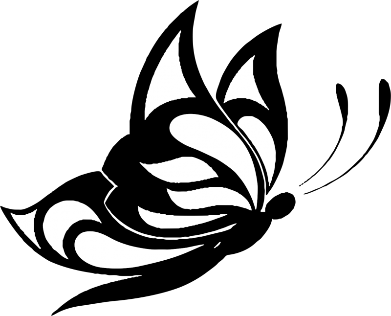 Butterfly - Desenho Borboleta Para Tattoo - Free Transparent PNG Clipart Images Download. - Transparent PNG Free Download