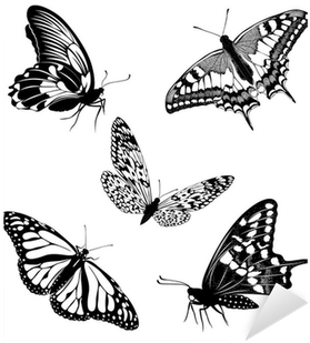 Set Black White Butterflies Of A Tattoo Sticker • Pixers® - Sommerfugle Tegninger Tattoo - Free Transparent PNG Clipart Images Download. - Transparent PNG Free Download
