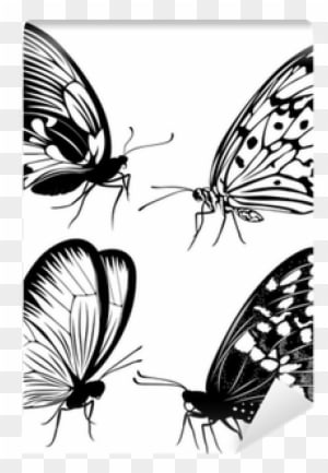Set Black White Butterflies Of A Tattoo Wall Mural - Tattoo Butterflies - Free Transparent PNG Clipart Images Download. - Transparent PNG Free Download