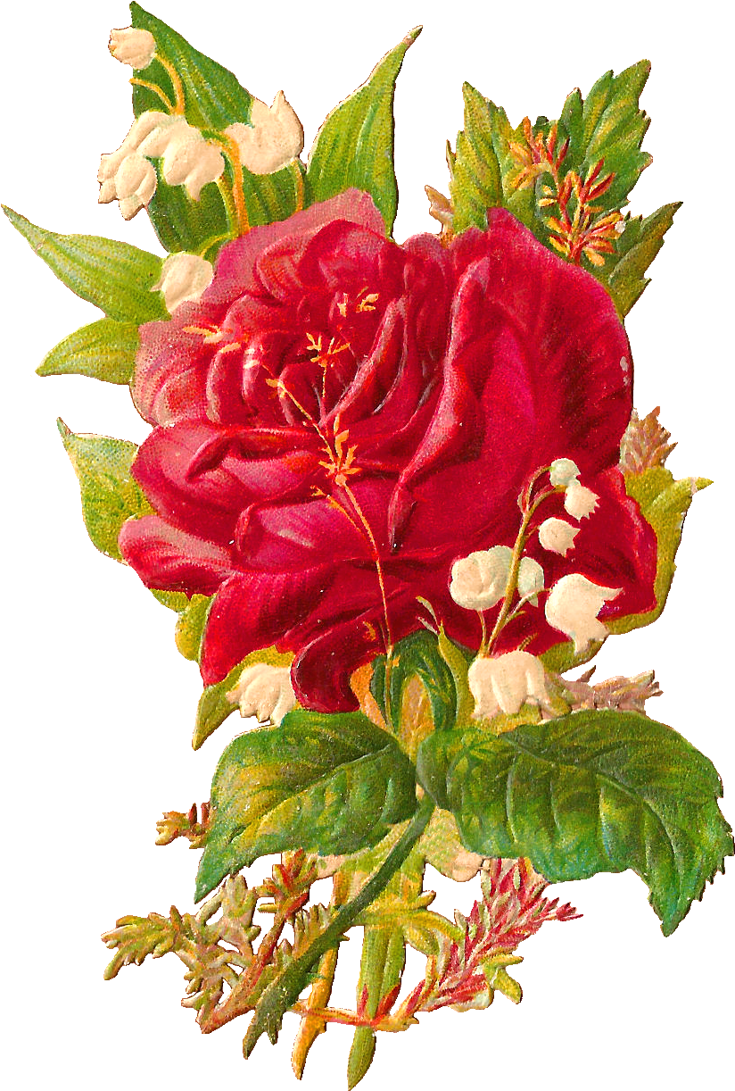 This Is A Very Pretty Victorian Scrap Of Large Red - Rose And Lily Of The Valley Tattoo - Free Transparent PNG Clipart Images Download. - Transparent PNG Free Download