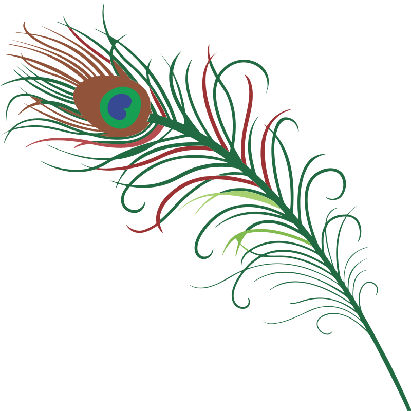 Domain Peacock Clip Art - Peacock Feather Tattoo - Free Transparent PNG Clipart Images Download. - Transparent PNG Free Download