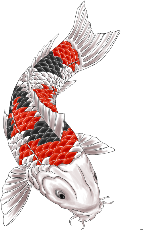 Koi Tattoo Design By Gaikotsu91 On Deviantart - Koi Carp Tattoo - Free Transparent PNG Clipart Images Download. - Transparent PNG Free Download