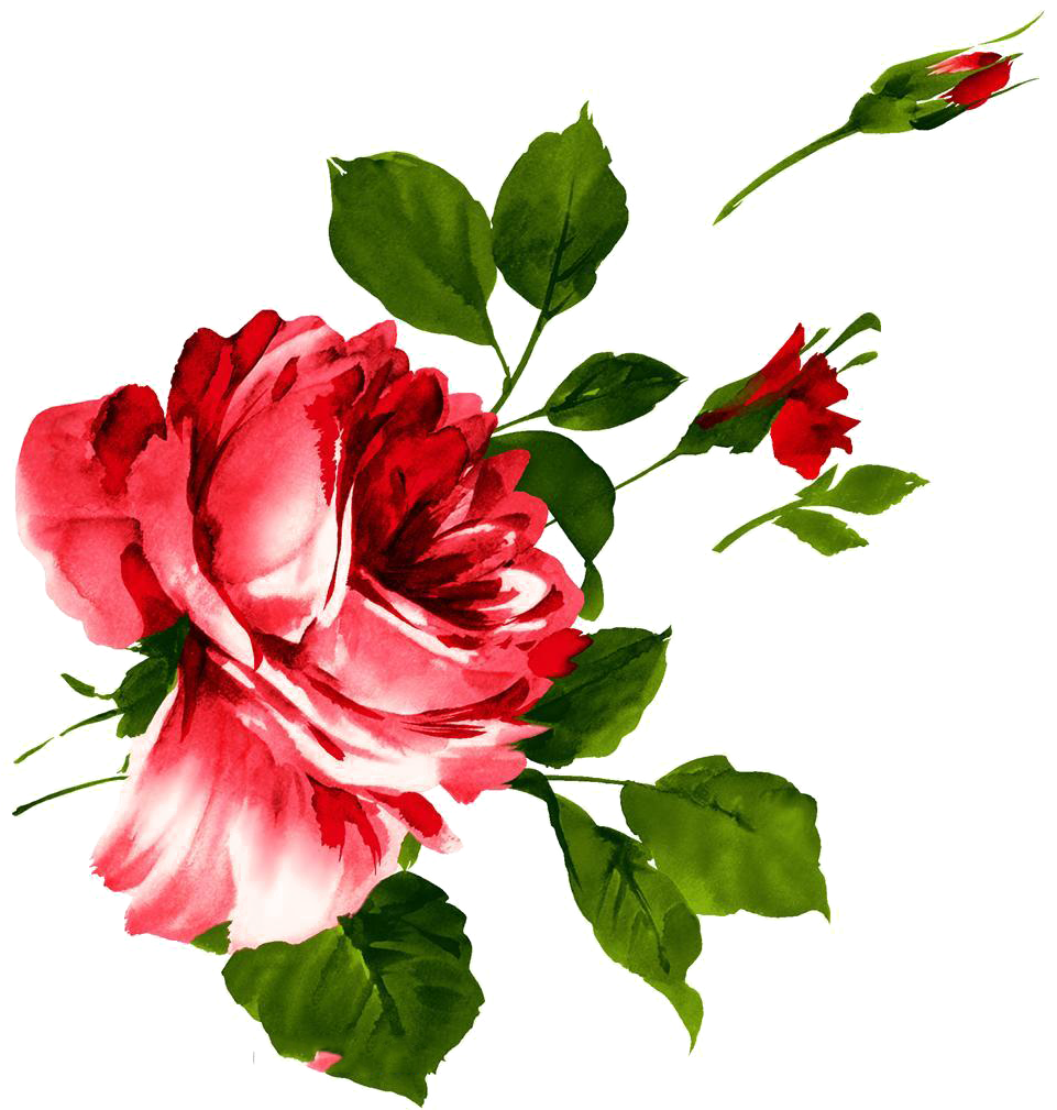 金萱会 - Pivoine Flower Waterproof Temporary Tattoo One Size - Free Transparent PNG Clipart Images Download. - Transparent PNG Free Download