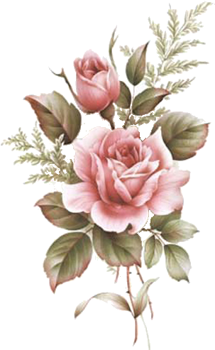 231 - Rose And Rose Bud Tattoo - Free Transparent PNG Clipart Images Download. - Transparent PNG Free Download