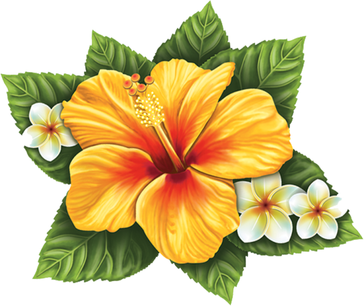 Porc Hf56 10"x9" Single Hibiscus Flower Yellow Porcelain - Yellow Hibiscus Tattoo - Free Transparent PNG Clipart Images Download. - Transparent PNG Free Download