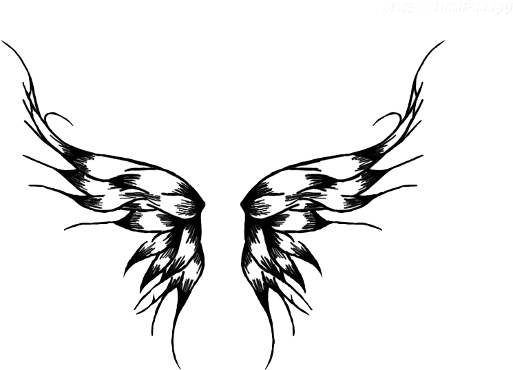 Wings - Tattoos Transparent - Free Transparent PNG Clipart Images Download. - Transparent PNG Free Download
