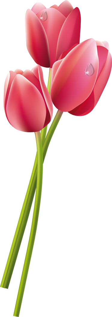 Wet Tulips Shower Sticker - Tulip And Fern Tattoos - Free Transparent PNG Clipart Images Download. - Transparent PNG Free Download