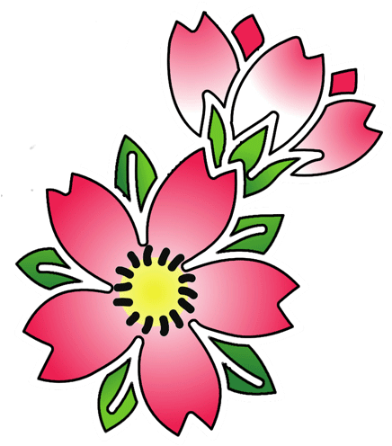 Cherry Blossom Tattoos High Quality Photos And Flash - Cherry Blossom Flower Tattoo Outline - Free Transparent PNG Clipart Images Download. - Transparent PNG Free Download