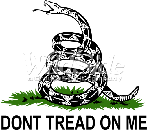 Don't Tread On Me Snake - Don T Tread On Me Tattoo Design - Free Transparent PNG Clipart Images Download. - Transparent PNG Free Download