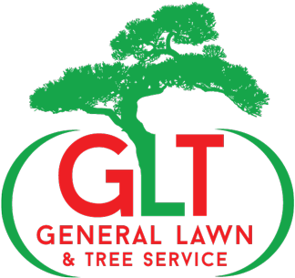 Independence, Lee's Summit And Blue Springs Tree Service - Bonsai Tree Tattoo Designs - Free Transparent PNG Clipart Images Download. - Transparent PNG Free Download