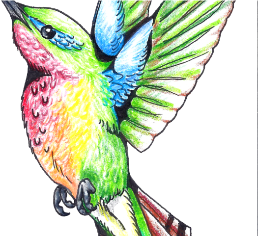 Gothic Tattoos Clipart Hummingbird - Art Design Tattoo Color - Free Transparent PNG Clipart Images Download. - Transparent PNG Free Download