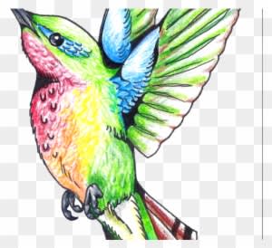 Gothic Tattoos Clipart Hummingbird - Art Design Tattoo Color - Free Transparent PNG Clipart Images Download. - Transparent PNG Free Download
