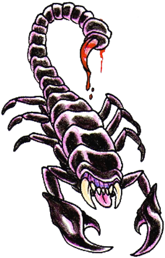 Scorpion Tattoos Png Clipart - Scorpion Tattoo Designs - Free Transparent PNG Clipart Images Download. - Transparent PNG Free Download