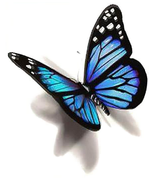 Blue Butterfly Png Photo - Butterfly Tattoo Design - Free Transparent PNG Clipart Images Download. - Transparent PNG Free Download