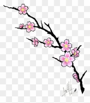 5 New Cherry Blossom Tattoo Designs - Cherry Blossom Tattoo Design - Free Transparent PNG Clipart Images Download. - Transparent PNG Free Download