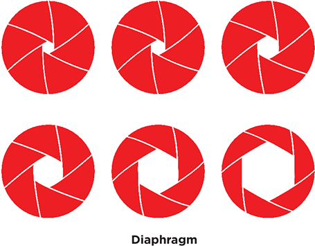 Opaque Structure With An Opening At Its Center - Diafragma Tattoo - Free Transparent PNG Clipart Images Download. - Transparent PNG Free Download