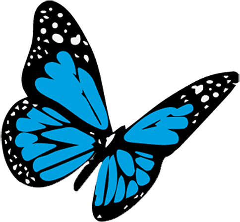 Cropped Butterfly Blue - 3d Butterfly Tattoo Drawing - Free Transparent PNG Clipart Images Download. - Transparent PNG Free Download