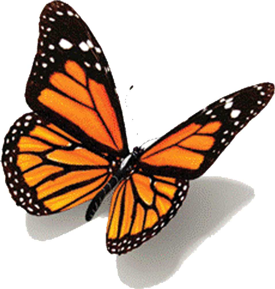 Animated Butterfly Gifs - Butterfly Tattoo Design - Free Transparent PNG Clipart Images Download. - Transparent PNG Free Download