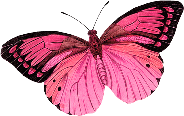 Butterfly Clipart Photo By - Purple Butterfly Tattoo Designs - Free Transparent PNG Clipart Images Download. - Transparent PNG Free Download