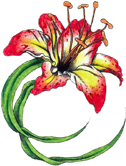 Tropical Flower Tattoos - Flower Tattoo Png Transparent - Free Transparent PNG Clipart Images Download. - Transparent PNG Free Download
