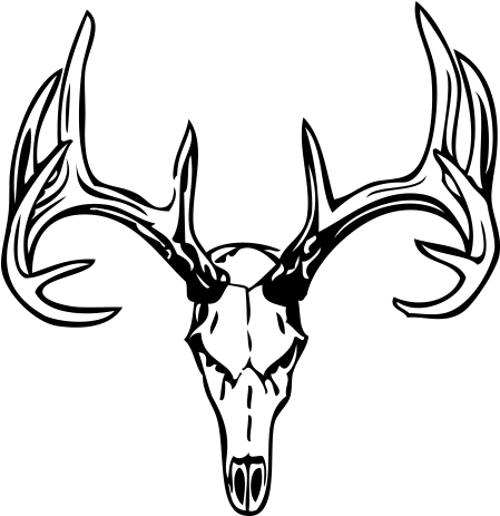 Drawings Of Deer Skulls - Man Deer Skull Tattoos - Free Transparent PNG Clipart Images Download. - Transparent PNG Free Download