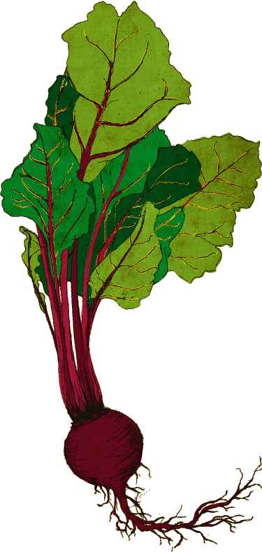 Graphic Royalty Free Ellie T Studio Illustration - Tattoo - Free Transparent PNG Clipart Images Download. - Transparent PNG Free Download