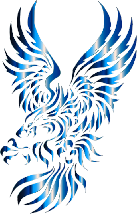 Bald Eagle Drawing Bird Tattoo - Tribal Bald Eagle Tattoos - Free Transparent PNG Clipart Images Download. - Transparent PNG Free Download