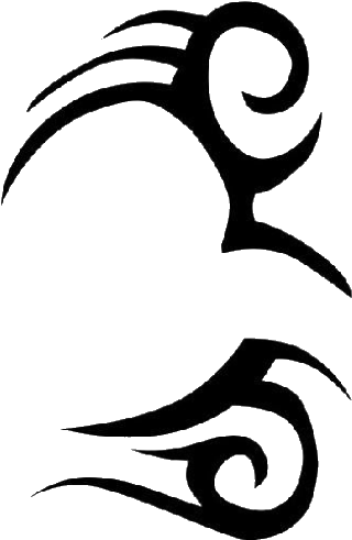 Abziehtattoo Artist The Hangover - Transparent Face Tattoos Png - Free Transparent PNG Clipart Images Download. - Transparent PNG Free Download