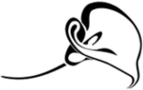 Calla Lily Tattoo - Free Transparent PNG Clipart Images Download. - Transparent PNG Free Download