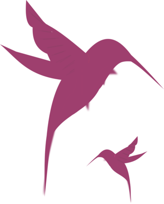 Pixabay/cco Public Domain/permission To Use - Baby Hummingbird Tattoo - Free Transparent PNG Clipart Images Download. - Transparent PNG Free Download
