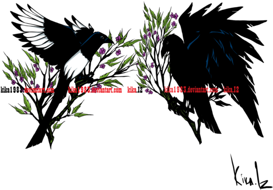 And Magpie Tattoo Commission By Kika On - Raven And Magpie Tattoo - Free Transparent PNG Clipart Images Download. - Transparent PNG Free Download